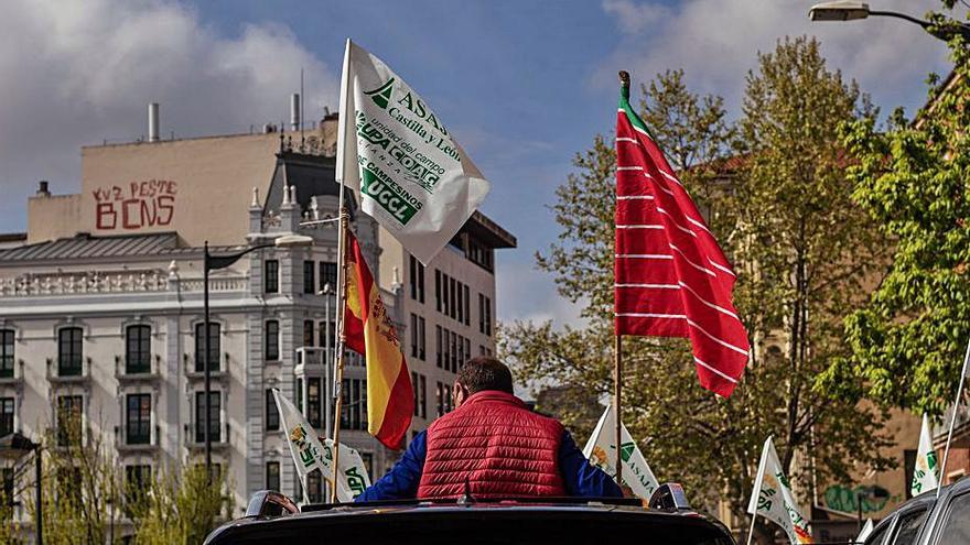 La bandera de España y la de Zamora en uno de los coches. | Sara Rodríguez