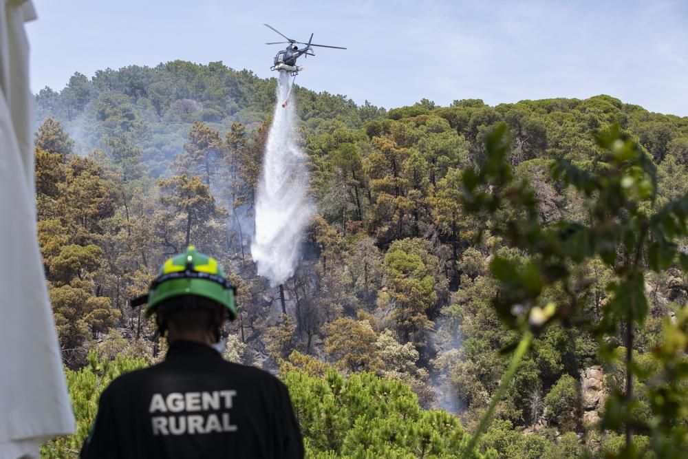 Incendi forestal en una urbanització de Lloret