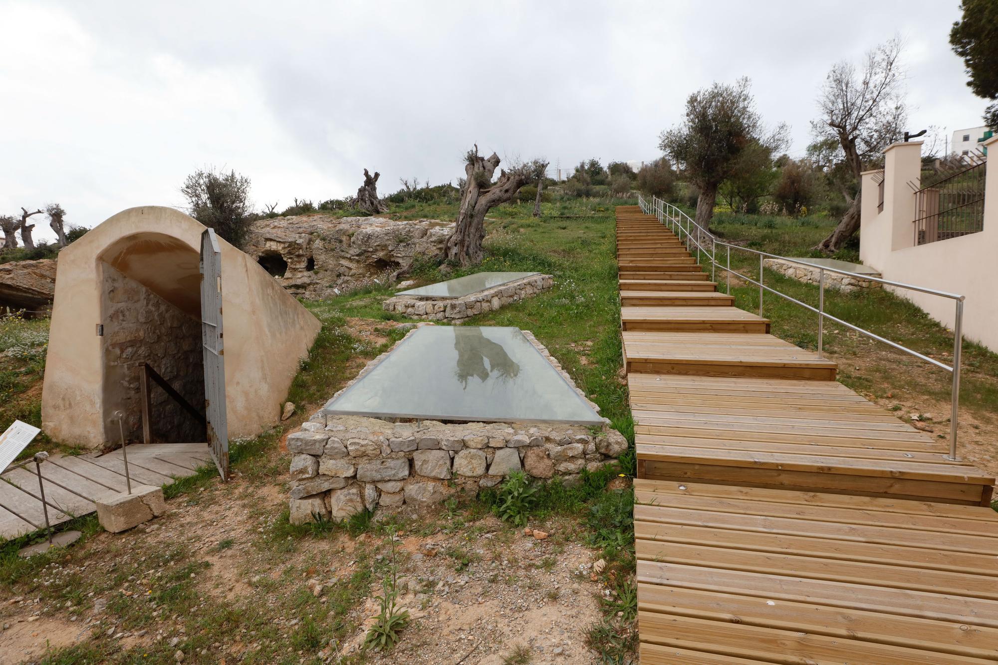 La necrópolis, un oasis dentro de Ibiza