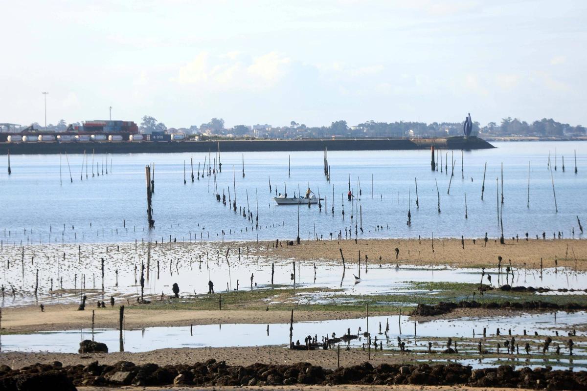 La ría asiste a las primeras "mareas vivas" del año.