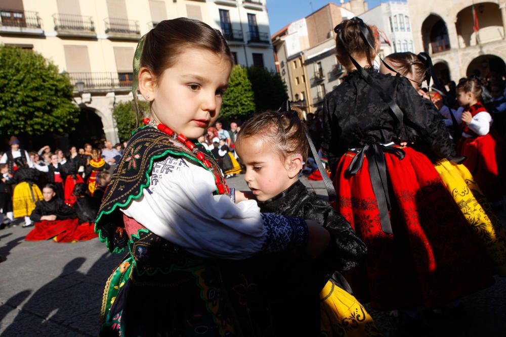 Celebración del Día de la Danza