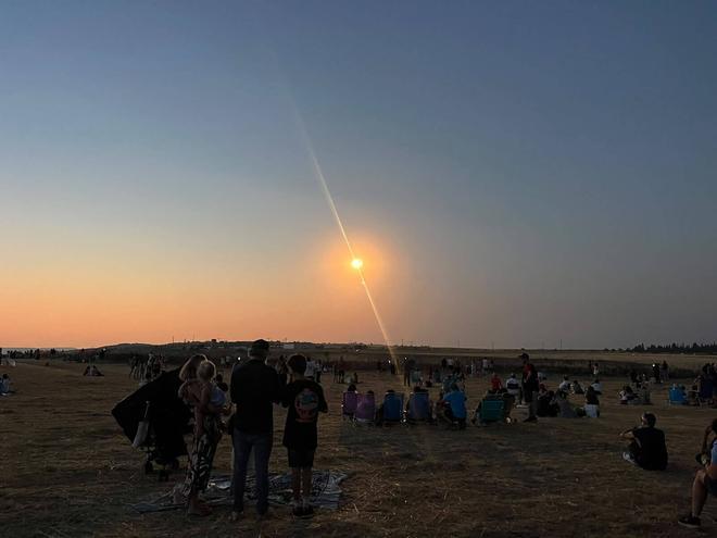 GALERÍA | Toro oscurecido con motivo del eclipse