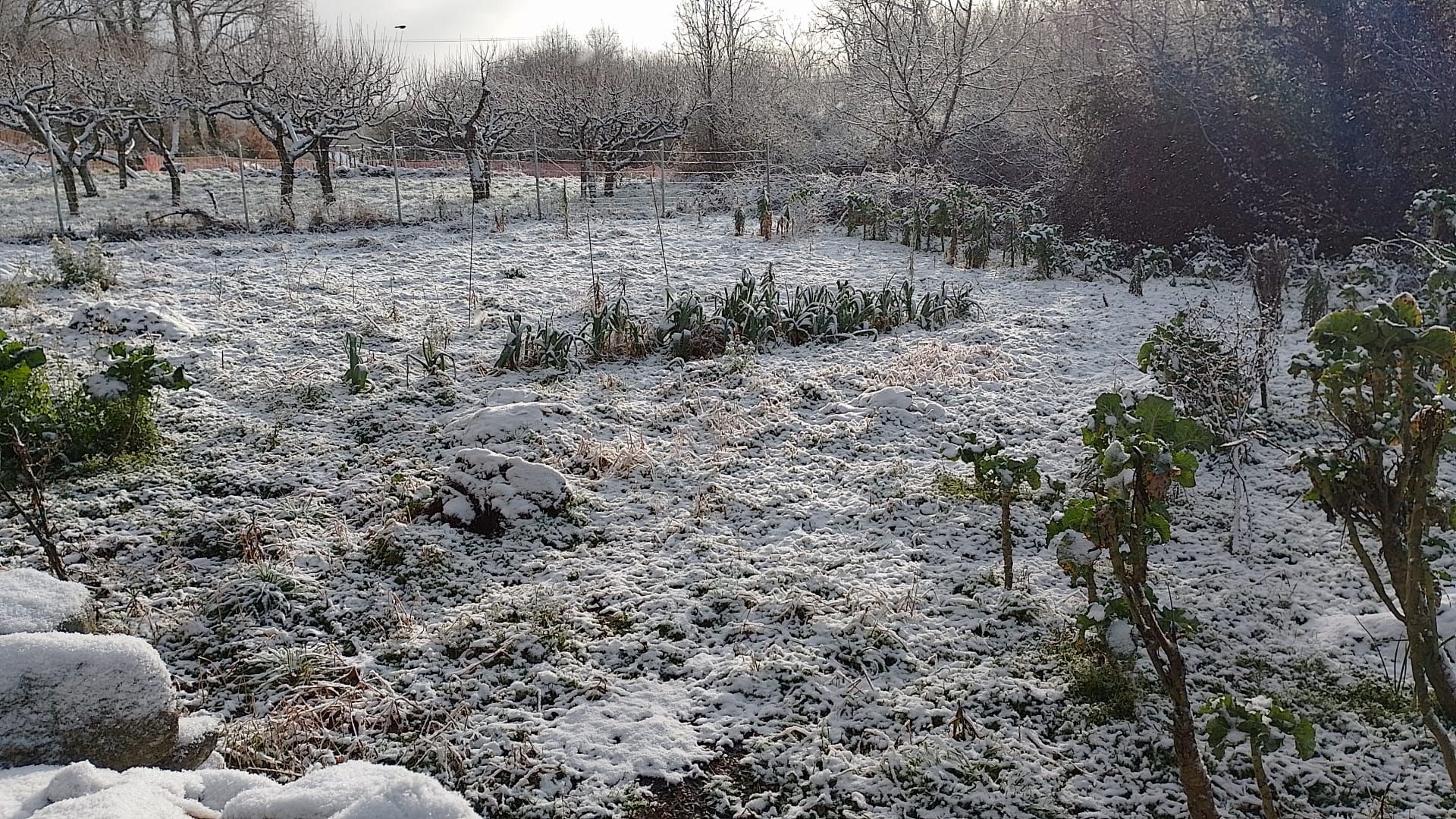 GALERÍA | Nieve en Sanabria: así amanece en estos pueblos