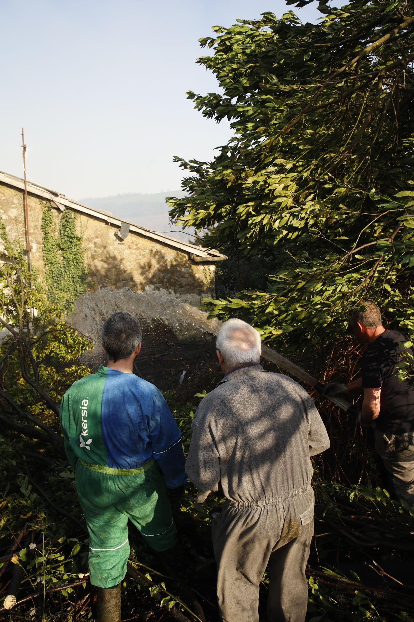 Las imágenes del preocupante incendio en Tineo