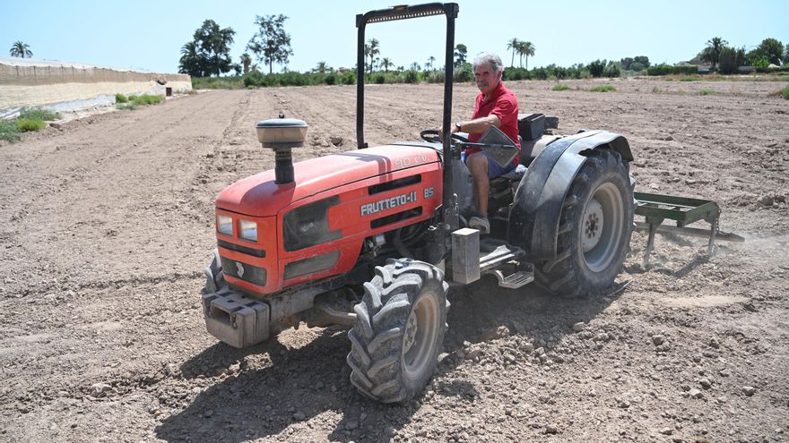 Las grandes empresas absorben en Alicante a los pequeños agricultores: 27.000 hectáreas en diez años