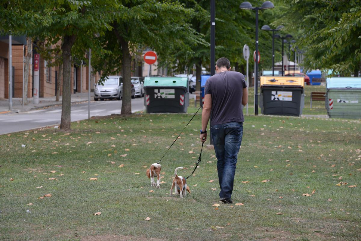Un hombre paseando a un perro en Rubí.