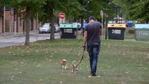 Un hombre paseando a un perro en Rubí.