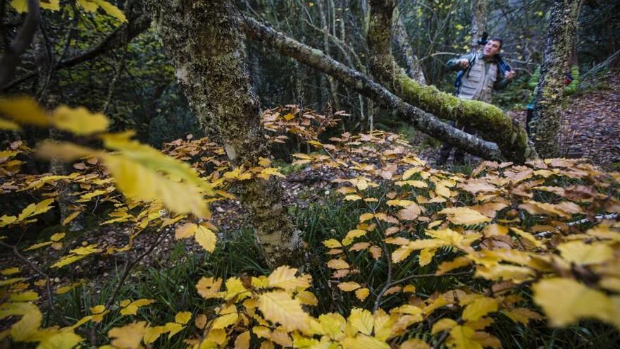 Las 100 fotos que demuestran que el otoño es la mejor época para conocer Asturias