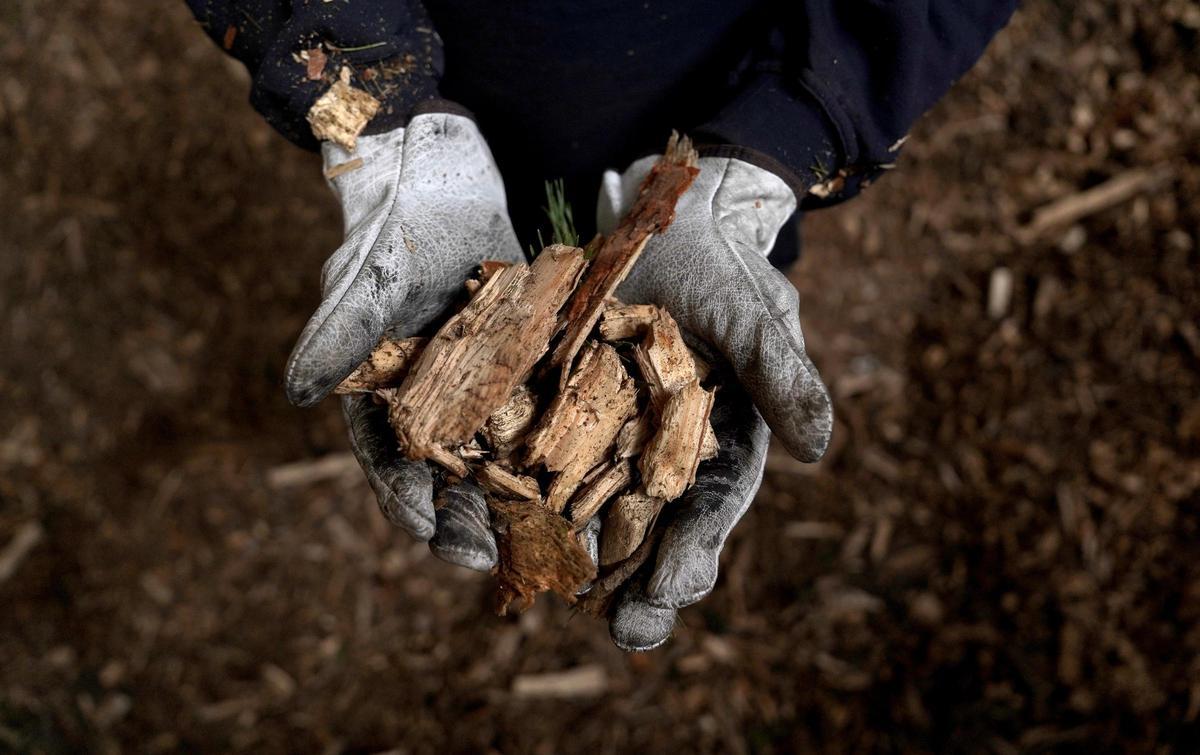 Los sistemas de calefacción con restos vegetales crecen entre un 15 y un 20% al año en España