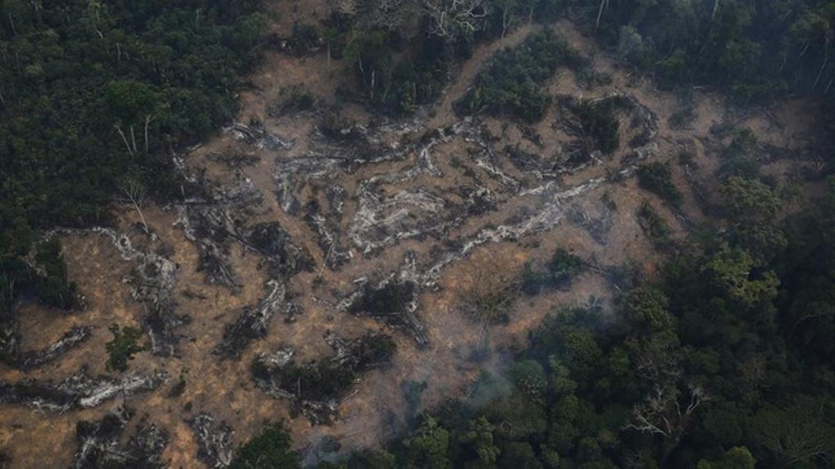 deforestacion amazonas