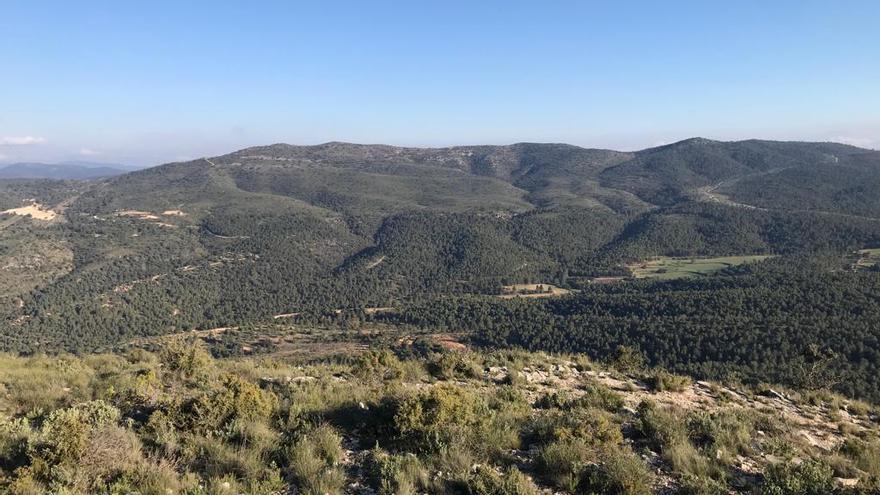 El choque tectónico de Europa y África eleva a 59 los terremotos en la provincia de Alicante en siete meses