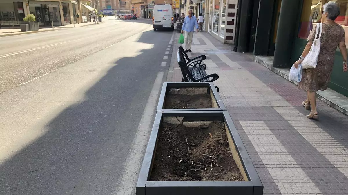 27 plantas muertas y espacios verdes llenos de colillas: bloque ecologista por la situación de los maceteros y arriates de Gil Cordero en Cáceres