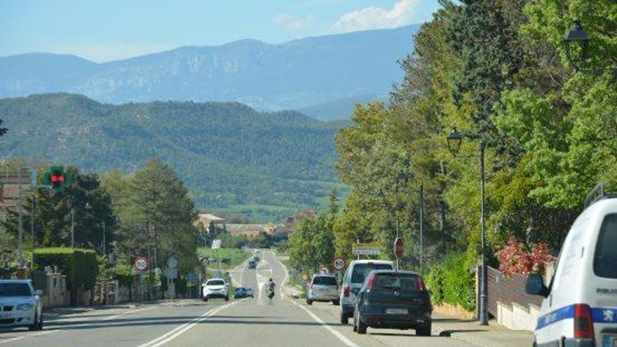 Arbres i coníferes dels jardins vistos des de la via principal de la urbanització del Pi de Sant Just, a Olius