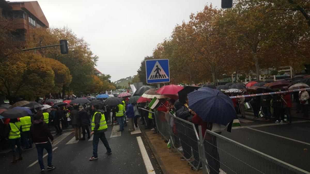 La manifestación por un tren digno para Extremadura en imágenes