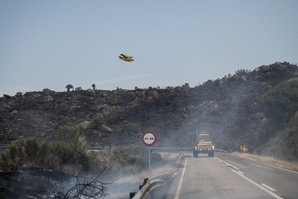 Fotogalería | Así ha sido el incendio forestal en Garrovillas de Alconetar