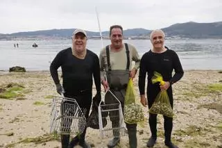 El marisqueo vigués prueba que «sí se puede» regenerar los bancos: «Ojalá O Areíño sirva para motivar a otras cofradías»