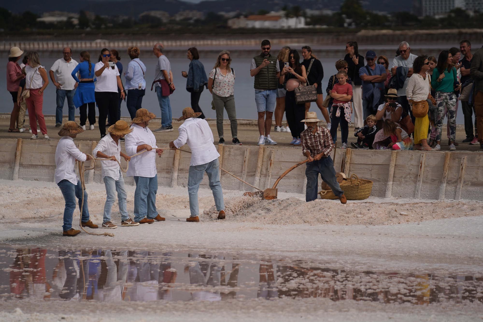 Mira aquí las imágenes de las actividades de la Fira de la Sal