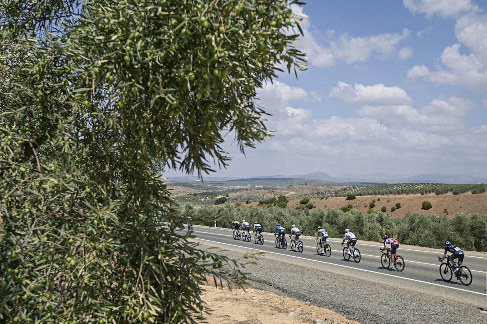 Camino de Jaén