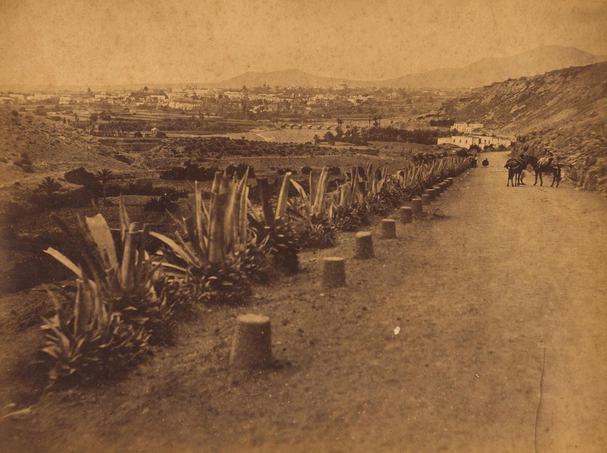 Carretera a Telde, en una fotografía de la década de 1890.