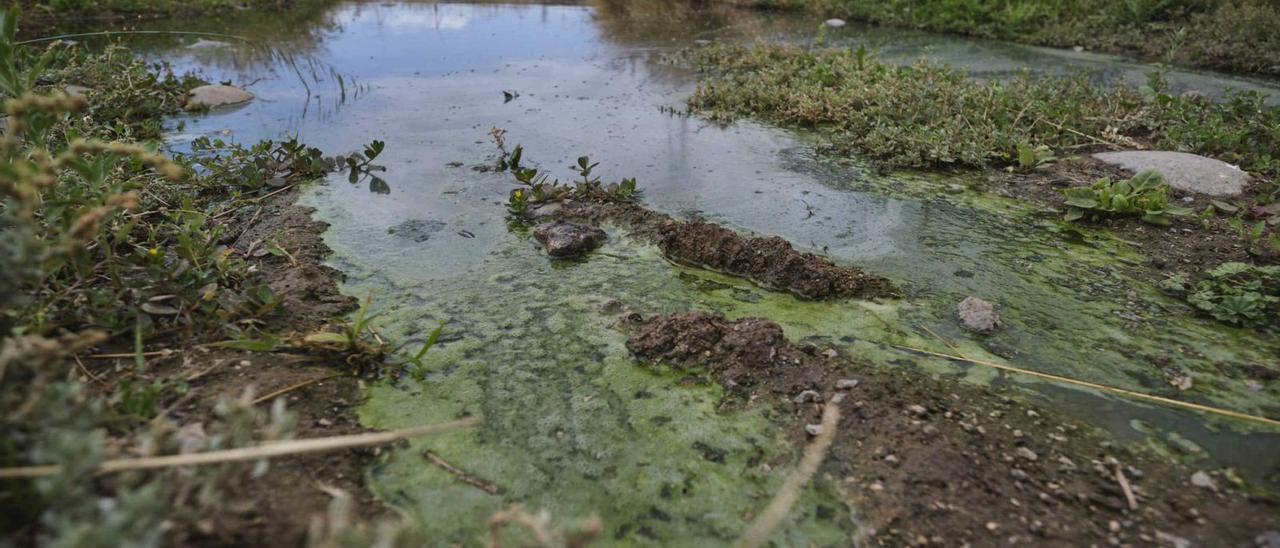 La acumulación de aguas residuales en el Polígono Granadilla se encuentra próximo al ITER y al Puerto de Granadilla y afecta a bañistas y campistas que utilizan la playa del Medio.