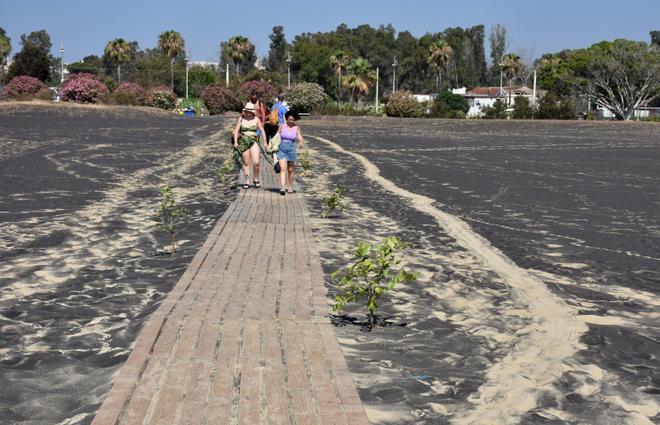 Etna eruption and Stromboli activity covers Sicily region in ashes