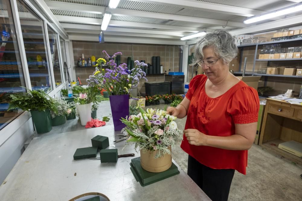 Coronavirus en Mallorca: Flores para madres confinadas