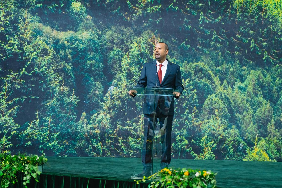 El Gobierno de Etiopía ha impulsado el proyecto Legado Verde