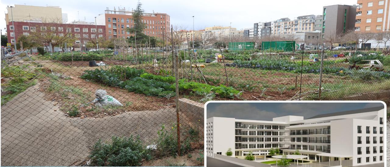 Imagen de los terrenos de la futura residencia pública de Castelló y maqueta del edificio.