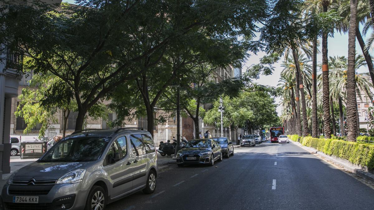 La avinguda Antic Regne cambiará el aparcamiento de azul a verde, solo para residentes.