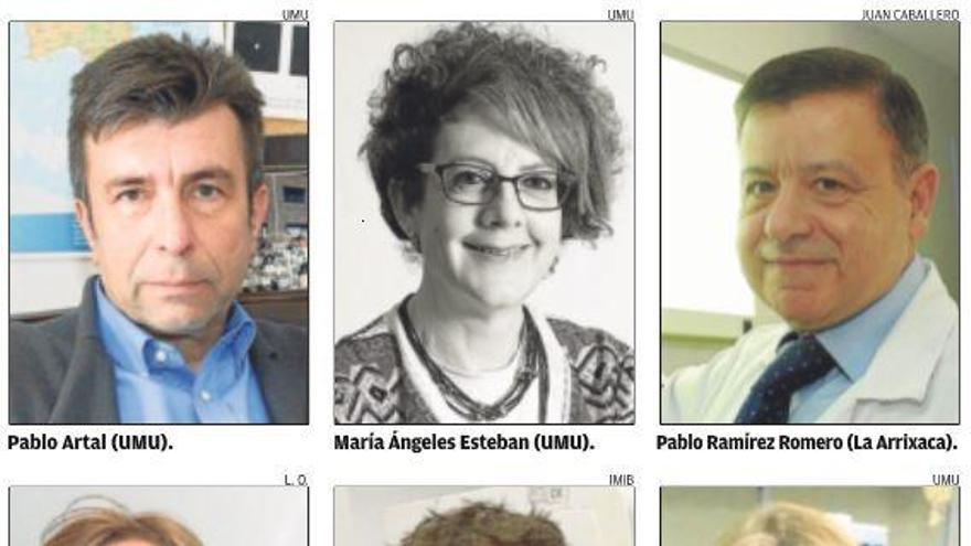 76 científicos que trabajan en la Región, entre los 5.000 mejores de España