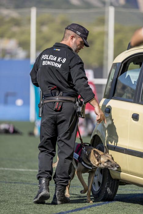 Perros policía en acción en la Nucía