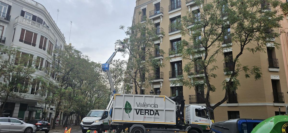 Labores de poda en la calle Conde Altea