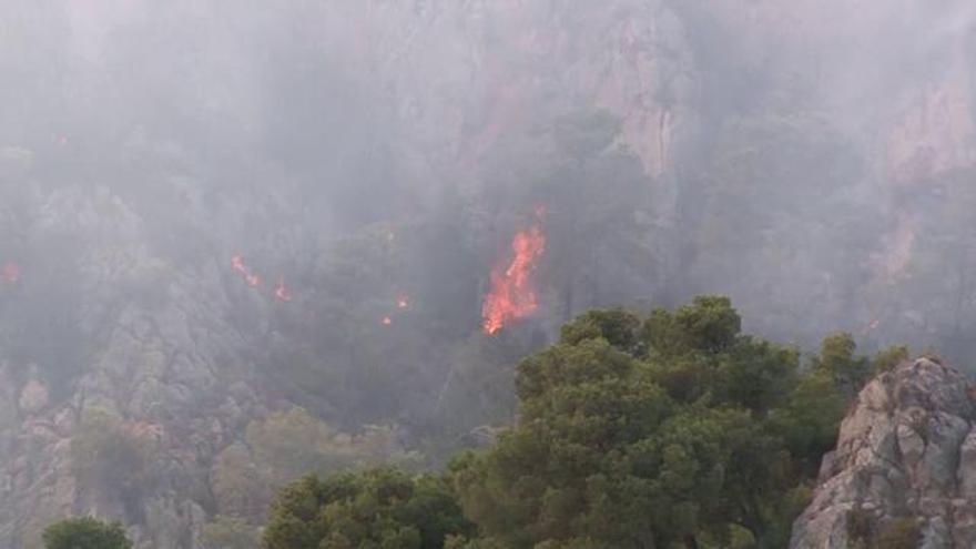 Incendi forestal a l'Estarit