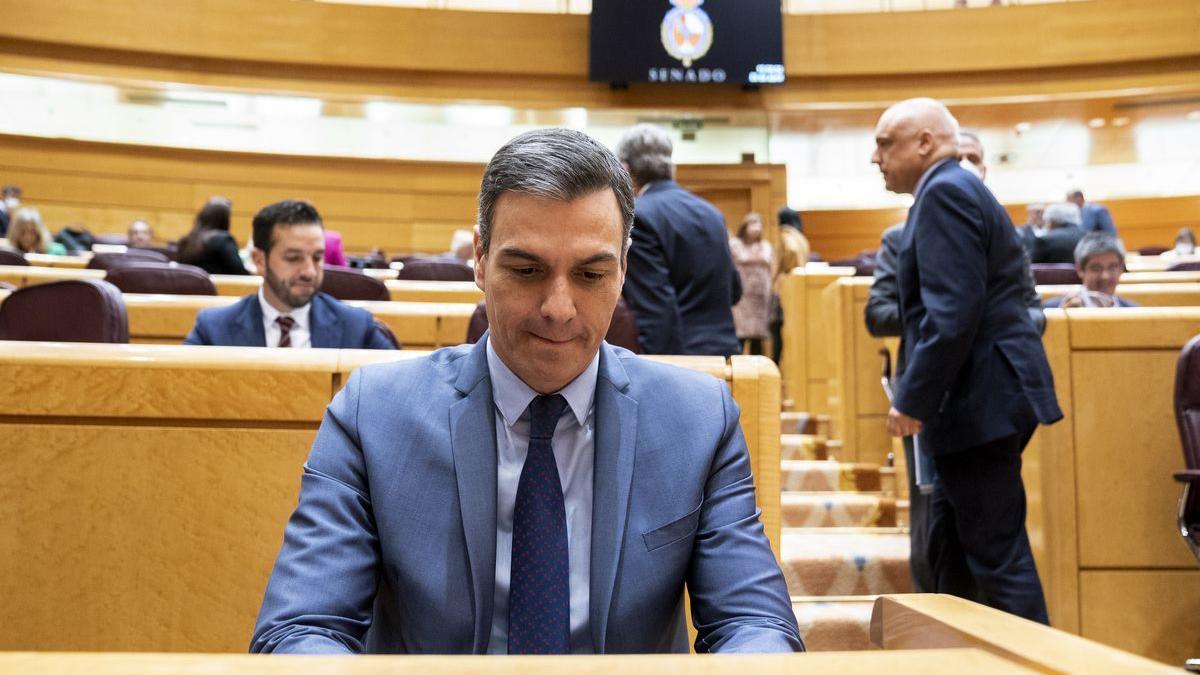 El presidente del Gobierno, Pedro Sánchez, en una sesión de control al Gobierno en el Senado.