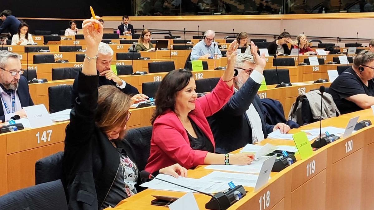 Ana Miranda, diputada del BNG en el Parlamento Europeo