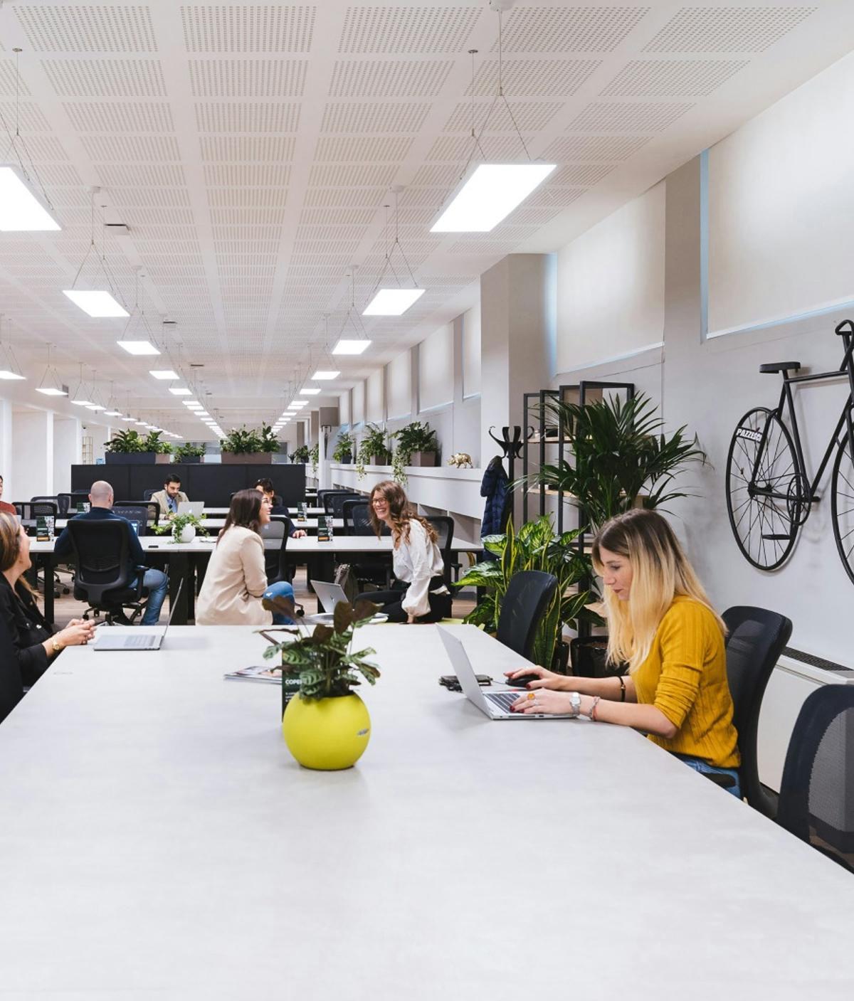 Existe la modalidad Startup y modalidad Proyectos emprendedores.