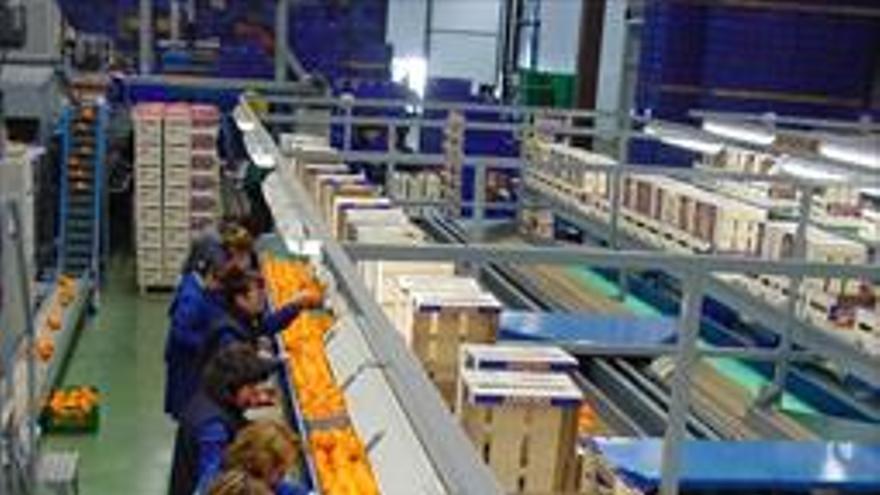 17 firmas de Castellón, en Fruit Attraction