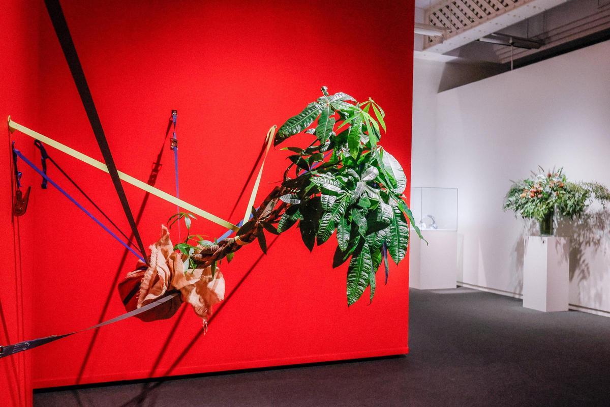 Eine Arbeit von Trevor Yeung im CaixaForum.