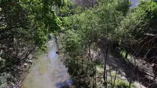¿Por qué se apuesta por renaturalizar Zaragoza?