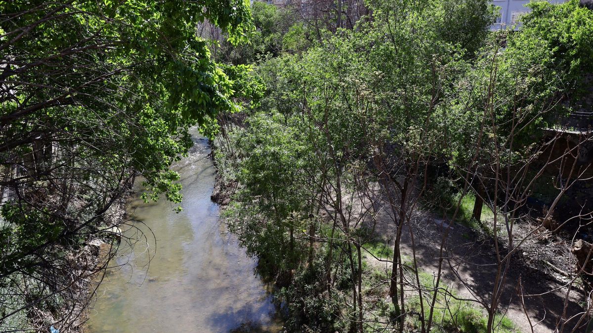 Estado actual de la ribera del río Huerva en Zaragoza.