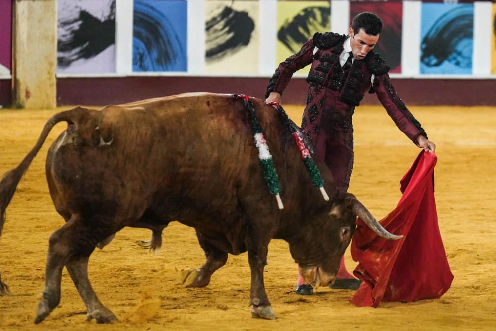 Las imágenes de la corrida picassiana de la Feria de Málaga 2019