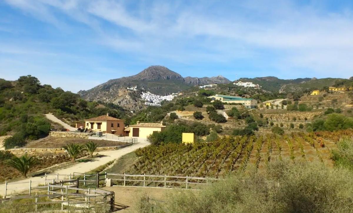 Sierra Crestellina, tesoro natural de Málaga