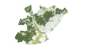 La gestió metropolitana dels boscos: economia circular i construcció en fusta