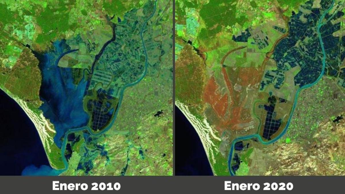 Imágenes satélite del estudio de la Universidad de Sevilla entre enero de 2010 y enero de 2020 donde se aprecia la reducción de agua de la marisma de Doñana.