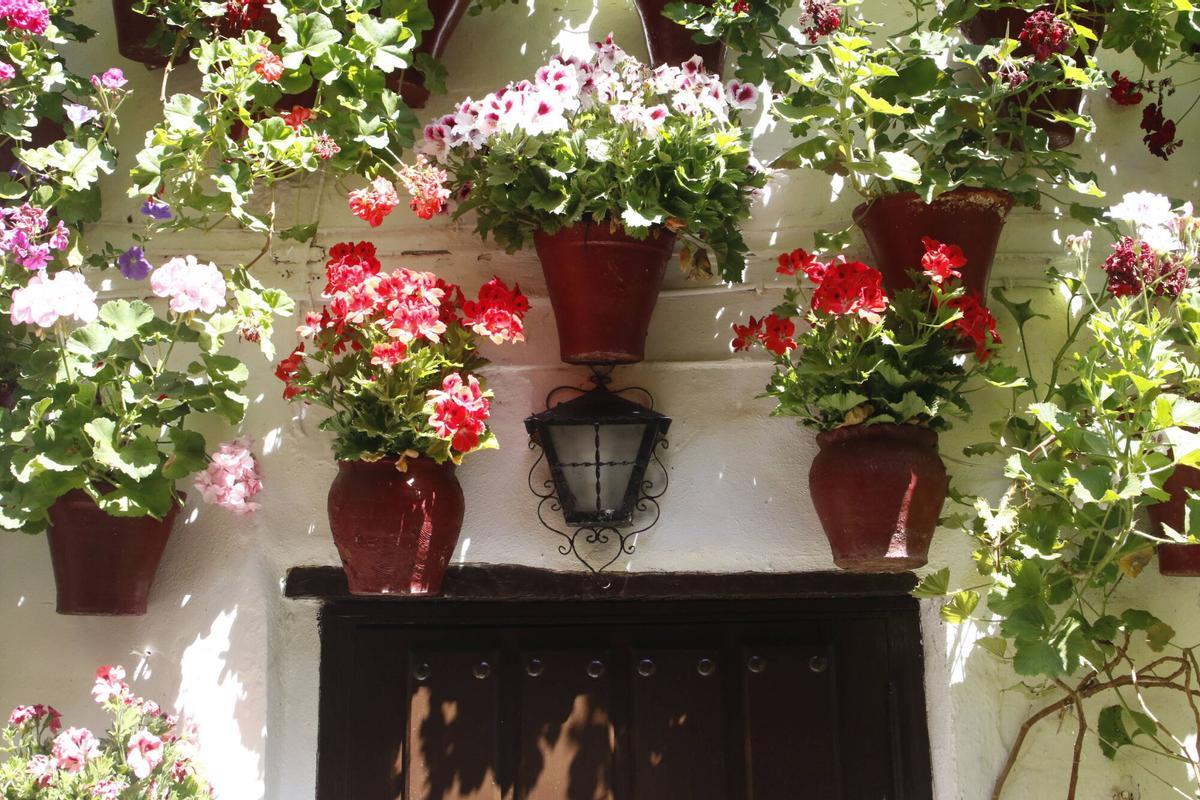 La fiesta de los Patios de Córdoba llega a su fin