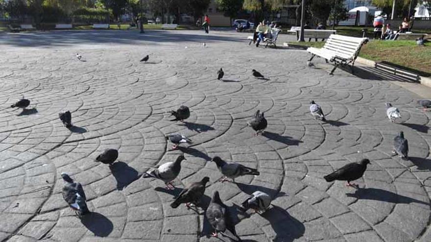 Herido leve por el disparo de un balín en la plaza de la Tolerancia