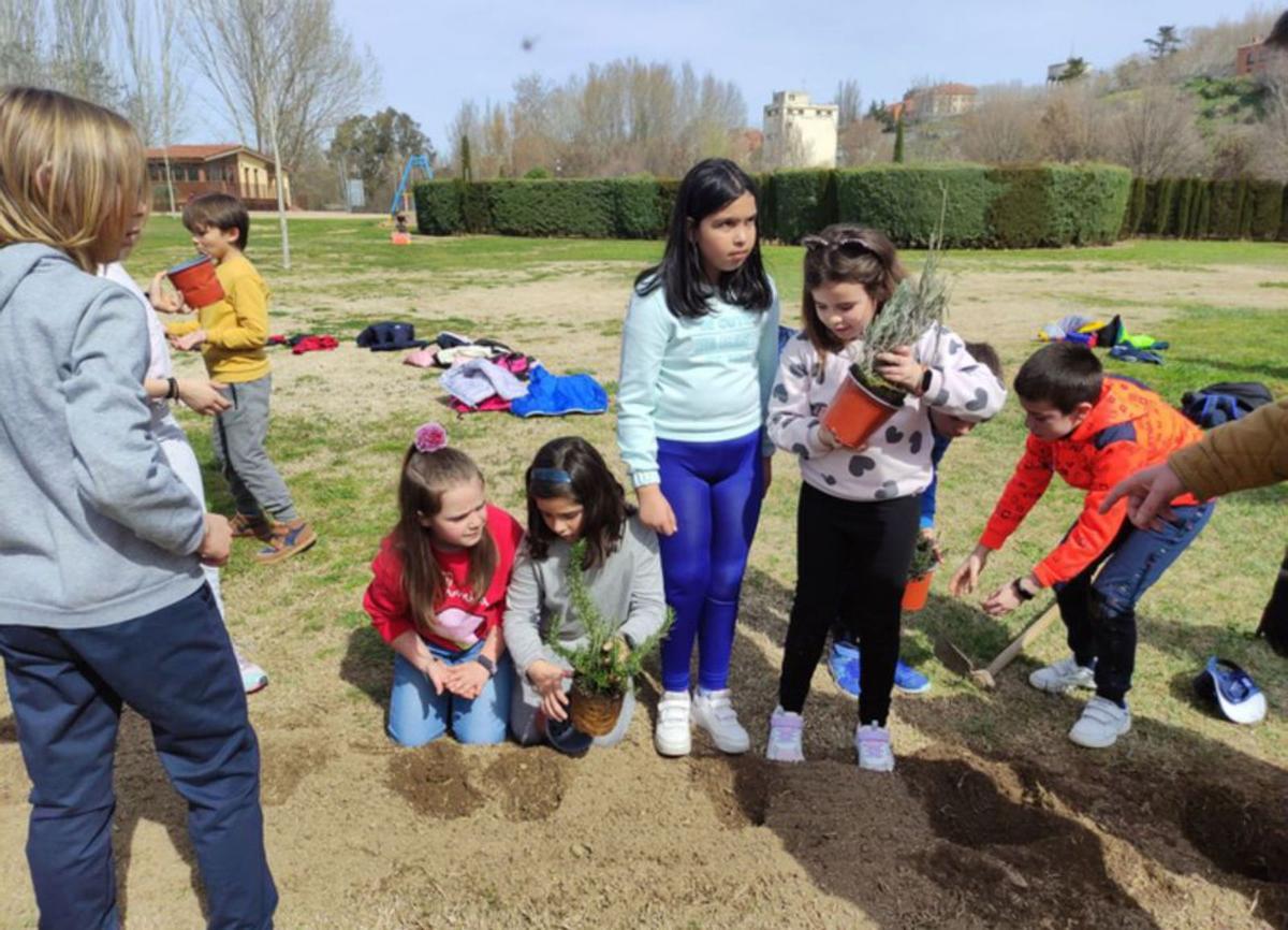 Un grupo de niños preparando el terreno para la plantación. | E. P.