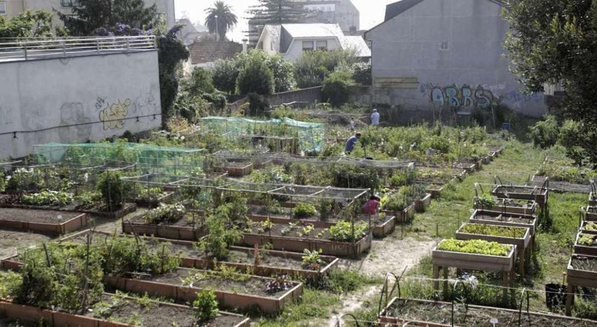 Un oasis ecológico en medio de la ciudad