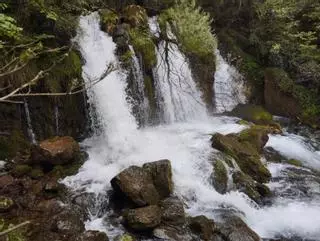 El Adou de Bastareny baixa de valent al Berguedà