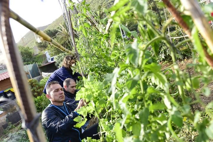 Visita escolar a la Granja Agricola del Cabildo